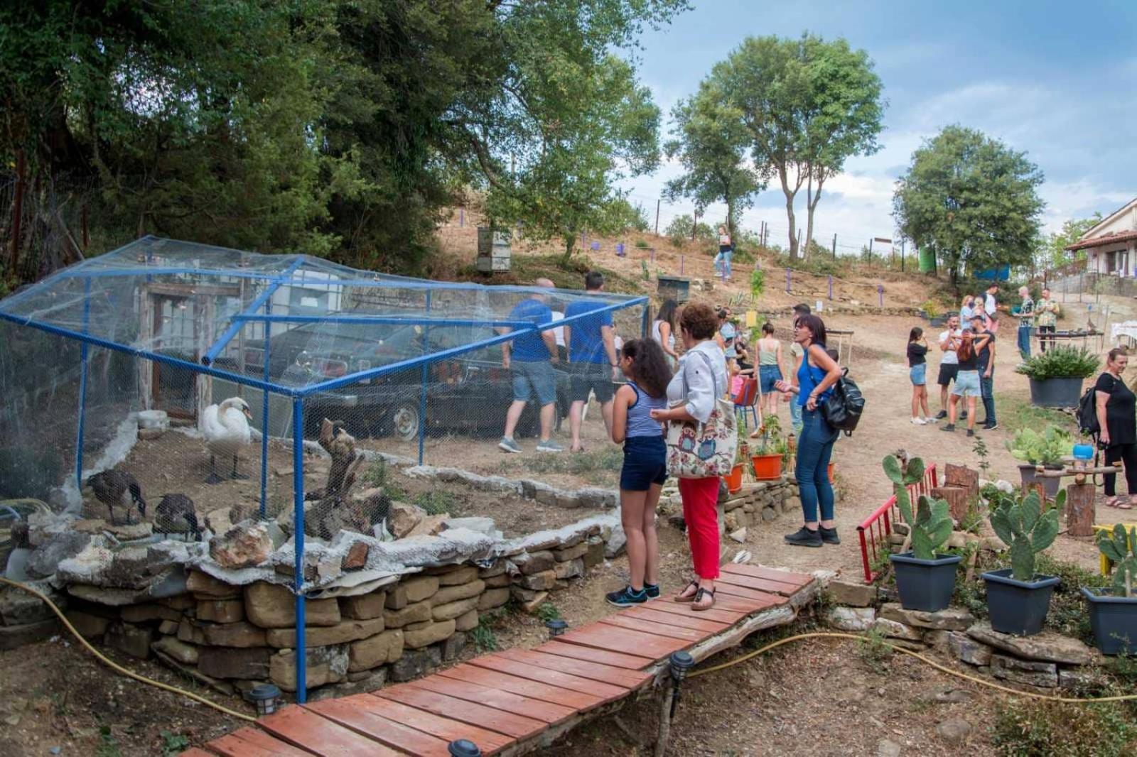 Villa Ξενώνας Museum Ισόγειο Στο Ελληνικό Ιωαννίνων à Kalentzi Extérieur photo